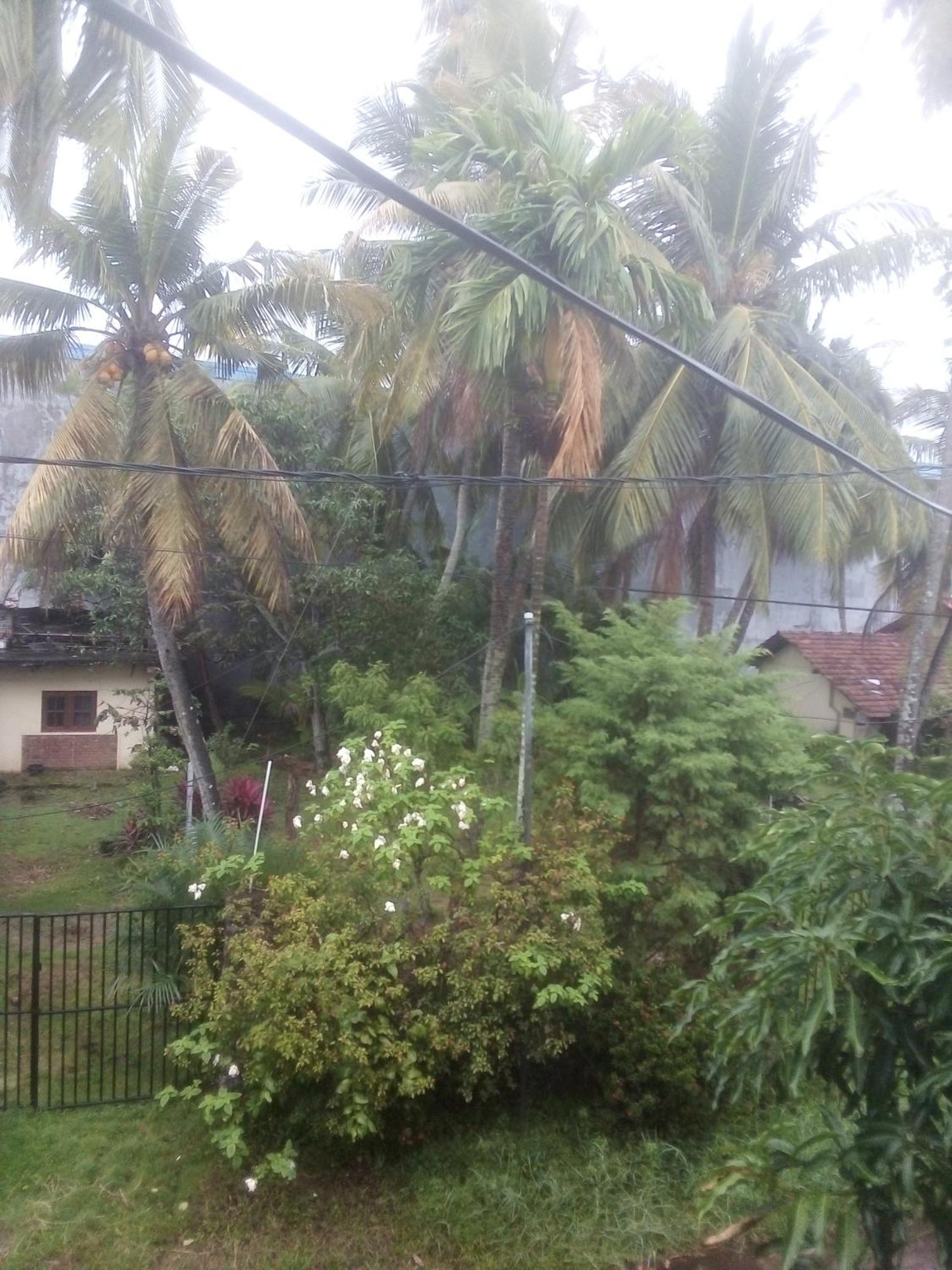Sunrise City Palace Negombo Chambre photo